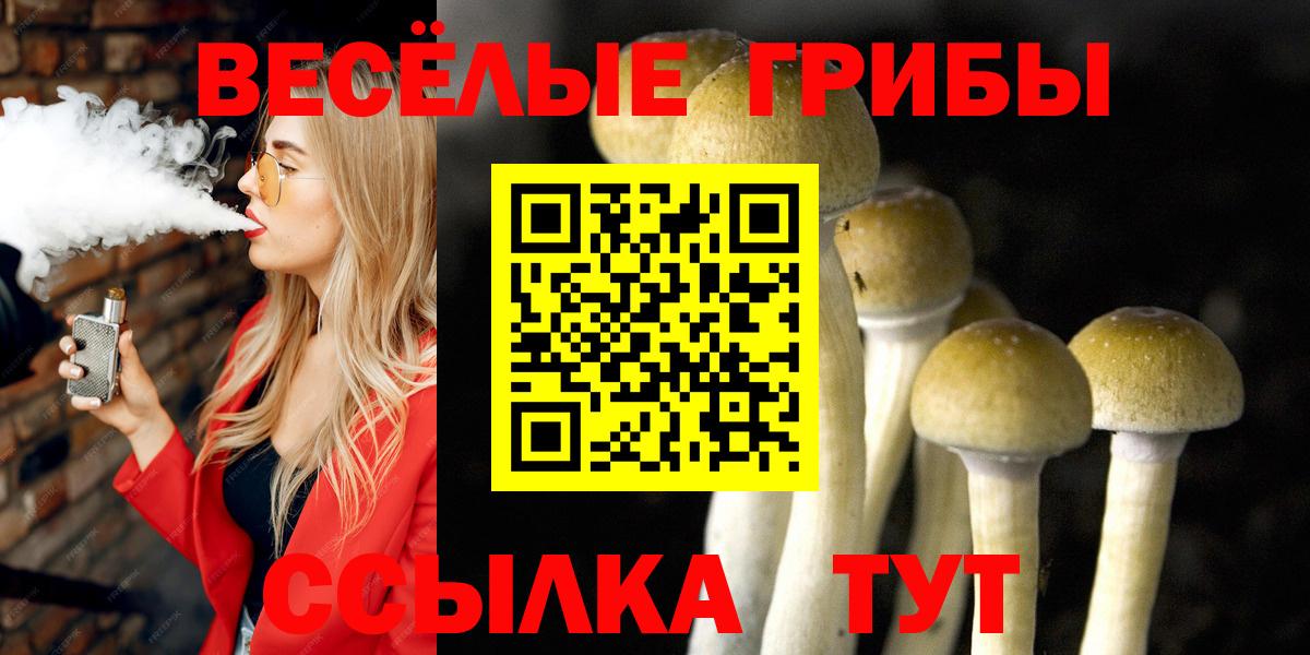 Галлюциногенные грибы GOLDEN TEACHER  Вход с VPN  Кропоткин  Псилоцибиновые грибы мицелий 